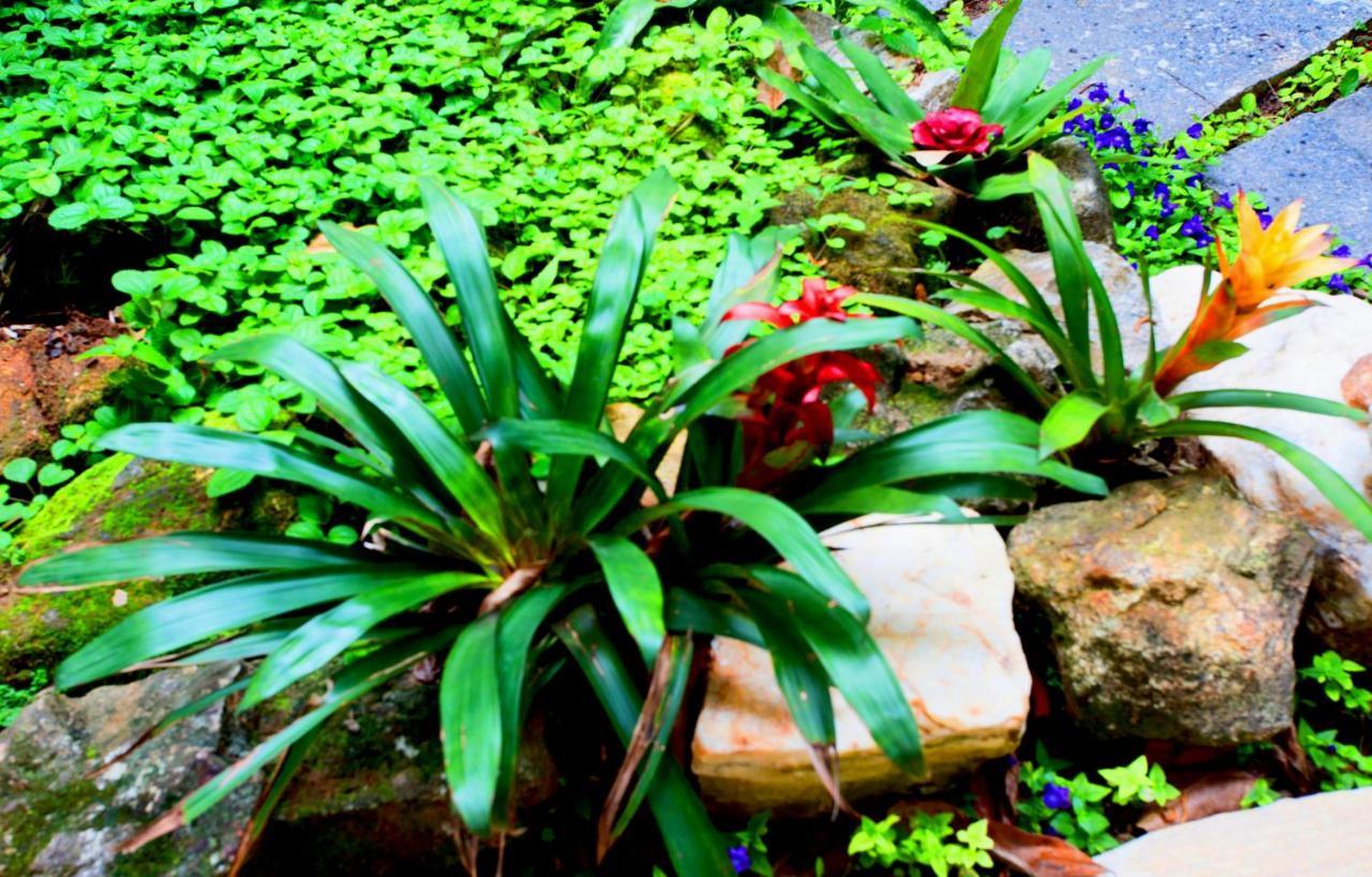 Pousada Casalinda Camburi Exterior foto
